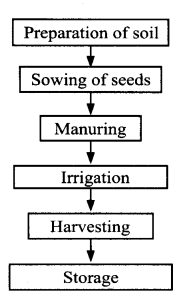 ncert-solutions-for-class-8-science-crop-production-and-management-3-1