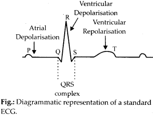 ncert-solutions-for-class-11-biology-body-fluids-and-circulation-5