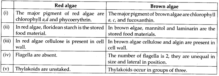 ncert-solutions-for-class-11-biology-plant-kingdom-1