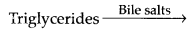 ncert-solutions-for-class-11-biology-digestion-and-absorption-9