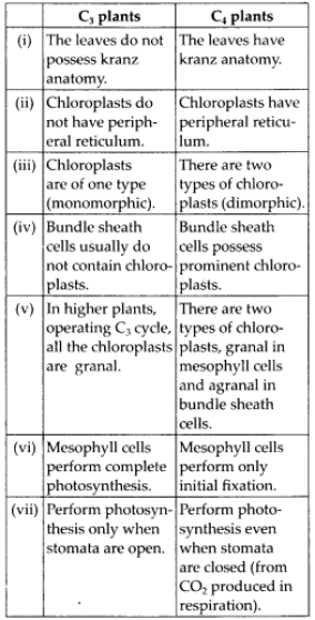 ncert-solutions-for-class-11-biology-photosynthesis-in-higher-plants-5