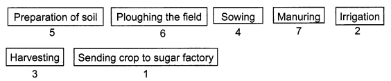 Crop Production and Management Class 8 Science NCERT Textbook Questions Q10.1