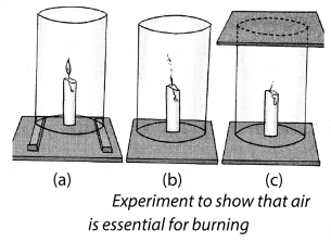 Combustion and Flame Class 8 Science NCERT Textbook Questions A2