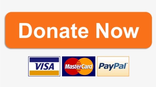 donate ncertguess
